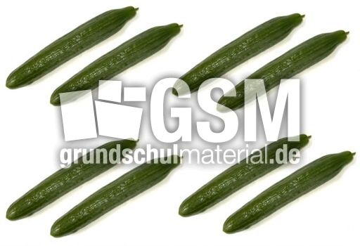 Gurke-4x2.jpg
